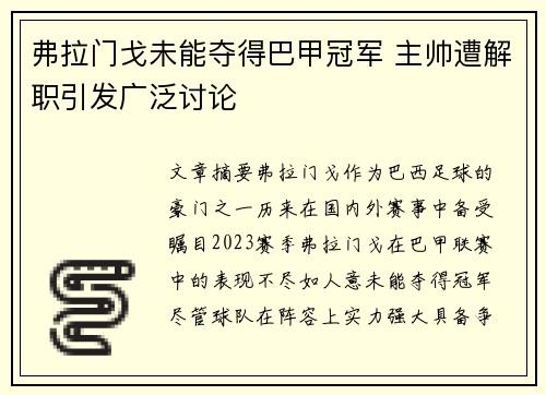 弗拉门戈未能夺得巴甲冠军 主帅遭解职引发广泛讨论